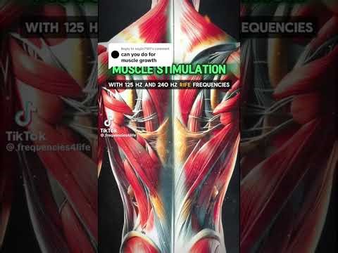 Feminine/female Anthro dragon “hrt” subliminal