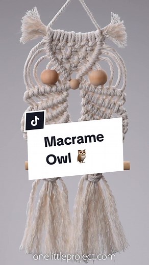 Add a touch of bohemian charm to your home with this DIY macrame owl! Follow our simple step by step photo and video tutorials and use a few simple knots (we’ll show you them below!) to make this super cute wall hanging. 🦉♥️ To make this macrame owl you'll need: 3mm Macrame Cord Wooden Beads Dowel Rod Fabric Scissors Painter's Tape Fine Toothed Comb #macrame #macrameowl #macrametutorial #diydecor #crafty #owl #craft #diywalldecor