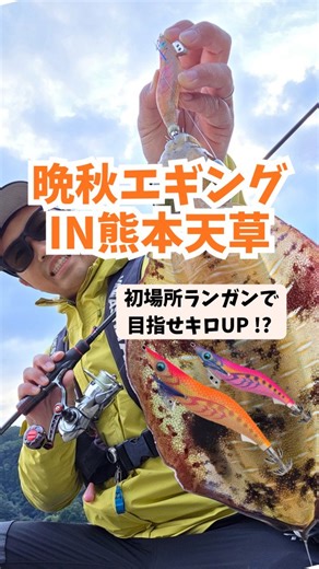 木原 涼 on Instagram: "熊本天草エリア晩秋エギング🦑 釣り場は天草でも初となる東海岸エリア！！ 初場所をランガンスタイルで攻略し、目指すはキロUP のアオリイカ！？ なかなかエギを抱いてくれないシチュエーションをエギ王K3号スーパーシャローで攻略✨✨ 是非皆様も試してみてください！！ #エギング #ヤマシタ #エギ王K #晩秋エギング #熊本エギング #天草エギング"