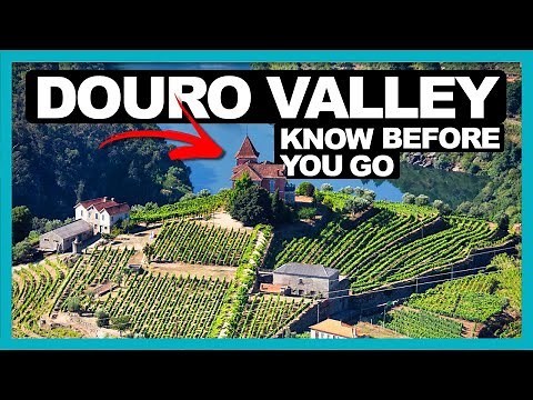 Douro Valley Complete Travel Guide | Portugal 🇵🇹