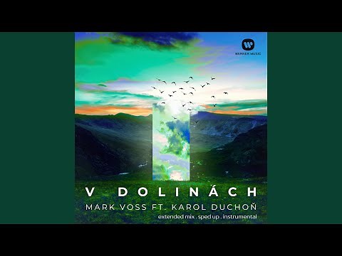 V dolinách (feat. Karol Duchoň) (Extended)