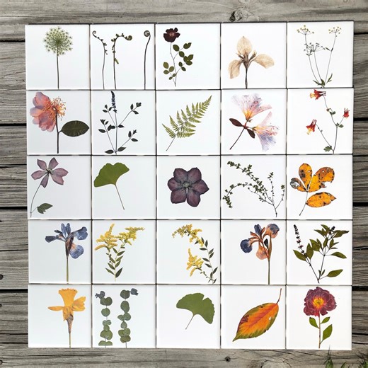 You Pick the Designs - Pressed Flower Ceramic Tiles - Botanical Garden Art, Indoor/outdoor Decor (4.25" X 4.25") - Etsy