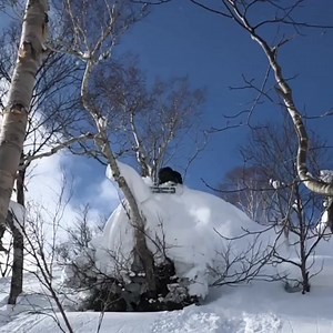 Japanese powder artistry with @iikkabackstrom a couple years ago. We really hope to get back there someday soon!  @kblock43 #pilotbindings #wildcatwednesday #powder #snowboarding #allmountain #skatetech #rethinkyourride #riderowned | NOW Snowboarding | Facebook