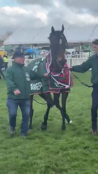 Brill video. First horse to regain the Grand National crown since the legend Red Rum👏🏻Iroko such a gr8 run for 2nd too after scoping bad a month ago. I did wish we could see Jagwars full potential...All horses home safe from what i can read at this moment touch wood👍🏻🙌🏻