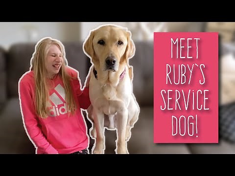 RUBY GOT HER SERVICE DOG! Meet Charlie!