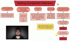 16. SA Objections Flowchart EXPLANATION