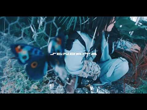 CANDYGIRL - Señorita (Official Visualizer)