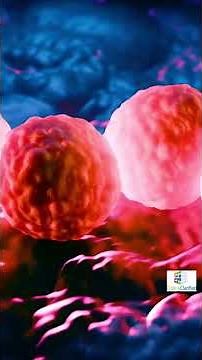 how to code an mrsa infection emergency room visit