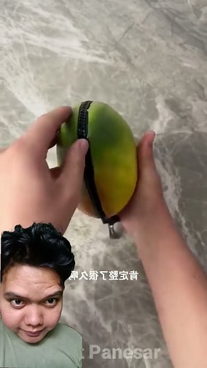 mangga didalam dompet‼️kok bisa😱😍