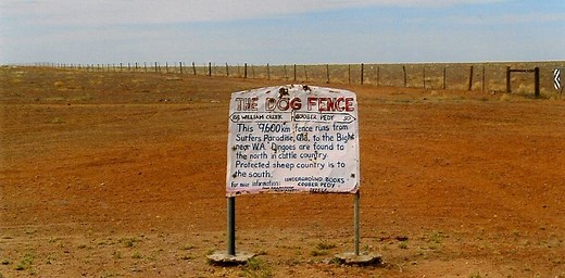 Fences have big effects on land and wildlife around the world that are rarely measured