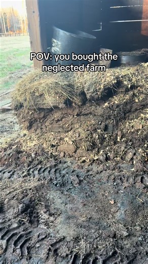 Transforming a Neglected Horse Farm: Our Journey