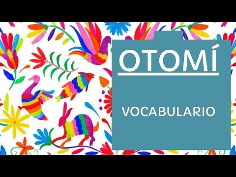 OTOMÍ Básico -Aprende vocabulario como animales, personas, colores, números #mexico #otomi #idiomas