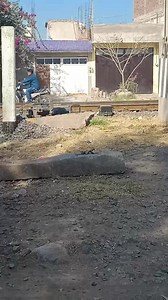 🛑# fiesta de San Juanito en San Juan de la Vega | Ay Dio' Mio Noticelaya