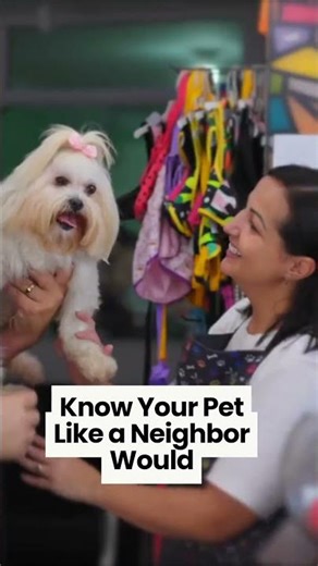Why Local Pet Stores Feel More Personal