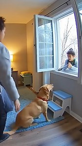 643K views · 2.2K reactions | "The Guardian Angel: A Split Second Away From Disaster" #HeroDog #MiracleRescue #GermanShepherd #GuardianAngel #HeartStopping #LifeSaver | Wild Rescue TV | Facebook