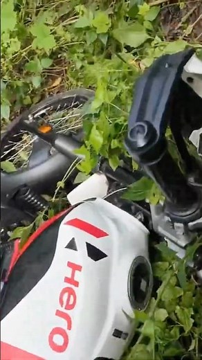 Jungle offroad with xpulse 200 4v pro