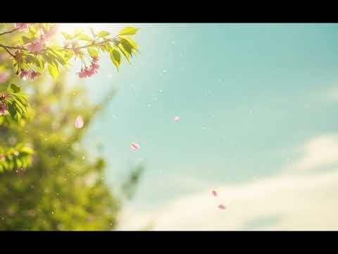 봄날의 속삭임 | CodeWave (Official Track) ##기분좋아지는노래 #감성발라드 #좋은하루