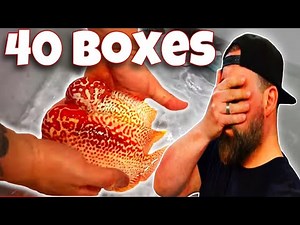 THE ULTIMATE UNBOXING: 40 📦 OF ONE-OF-A- KIND RARE TROPICAL FISH 🔥🔥