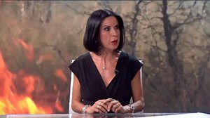 Beatriz de Vicente, criminóloga: "En España solo hay 15 personas en prisión por haber provocado un incendio"