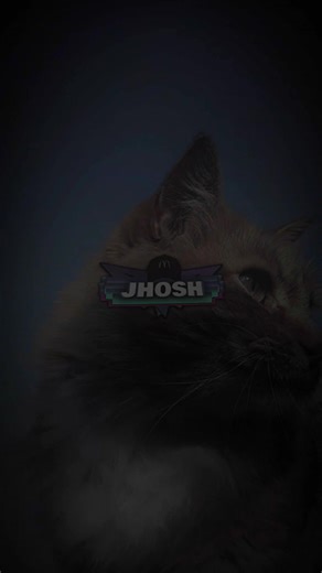 Unlocking the Best Alight Motion Presets