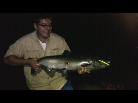 Night-Time Fishing for Salmon in the Niagara Whirlpool