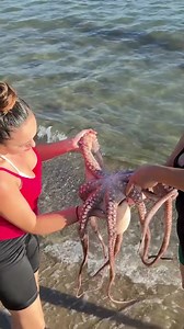 147K views · 3.4K reactions | We Caught a GIANT Octopus! Part 2 #comfortfood #food #cooking #easyrecipe #foodsafe #recipe #longweekend #CatchOfTheDay #AmazingCatch #Octopus #CatchAndCook | Barbara Jackson | Facebook
