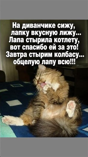 #смех #шутки #юмор #анекдоты #приколы #смешновидео