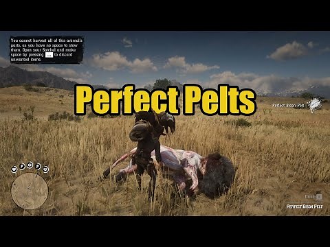 RDR2 Mods: Perfect Pelts