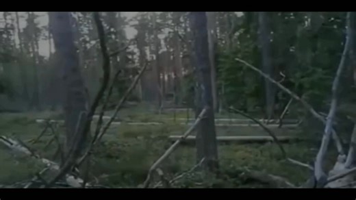 Jumping Siberian Yeti & Sasquatch Canyon Bigfoot #yeti #bigfoot | Rocky Mountain Sasquatch Organization