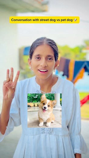 Street dog vs pet doge 🐶😱 | Deepak Bisht Goduk