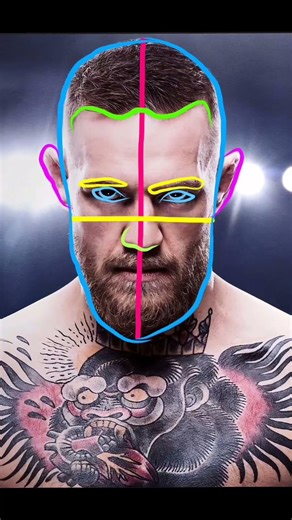 how to draw conor mcgregor step by step