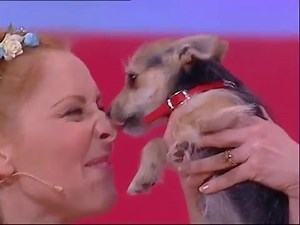 Hi-5 Charli Taking Care of Puppy