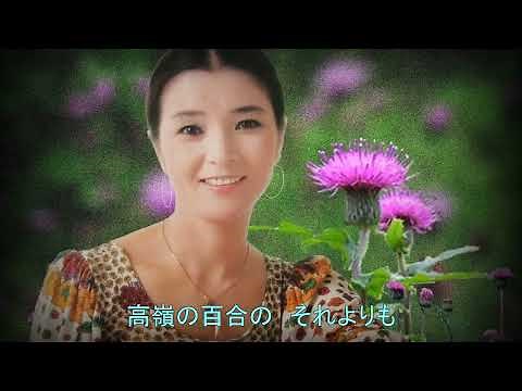倍賞千恵子／あざみの歌