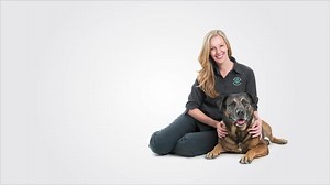 58K views · 96 reactions | When is your pet's flatulence a problem? There are a number of factors that can affect your pet’s sensitive digestive system including eating too quickly, a sudden change in their diet or eating table scraps and not being fed an appropriate diet. | Greencross Vets | Facebook