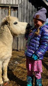 9.8K views · 1.1K reactions | Dusty was so happy to meet a new friend today. It’s spring break and we’ve got a full schedule of visits and the weather is being as wonderful as our guests. | Our Farmacy | Facebook