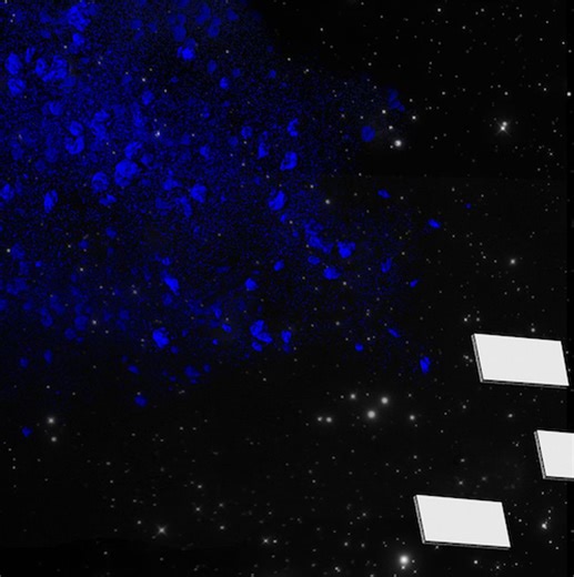 Jack White - 'You Got Me Searching'