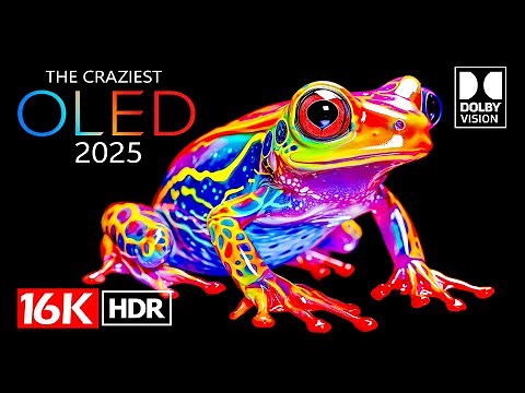 The Craziest 16K Video ULTRA HD - 16K HDR Dolby Vision (4K / 8K TV)