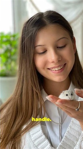 Male vs Female Hamster? The 16-Sec Truth