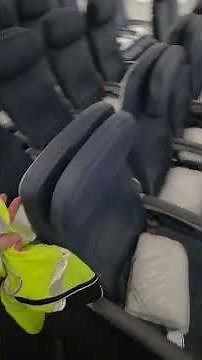 Airbus A330 cabin walk through