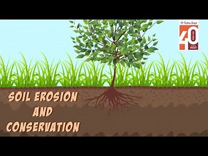 Soil Erosion and Conservation | Science Video for Kids | 2D Animation by Ratna Sagar