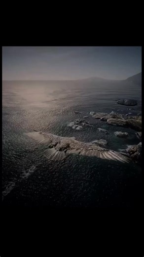 GÜL🌹❤️🦂🦂💖 (@95.11.18)’s videos with قصة مولد النبي محمد - On top