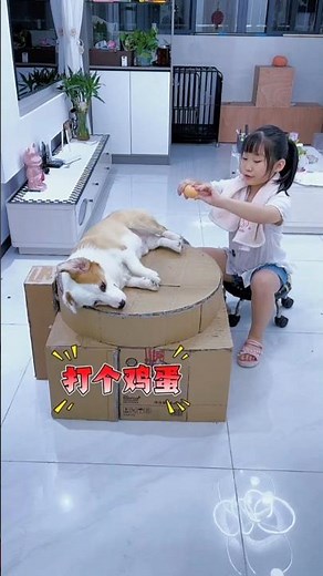 😱🍳 Luna Tried to Crack an Egg on Tommy… and He FREAKED OUT! 😂🔥 #shorts