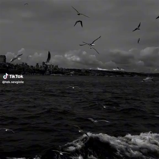 hasan green (@hasangreen29)’s videos with original sound - hasan green