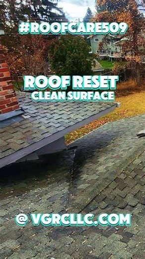 🧼 Moss may look small, but it grips tight.🌐 VGRCLLC.com handles the cleanup. #RoofReset