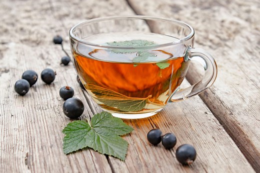 Cassis : bienfaits de la plante, indications, contre-indications