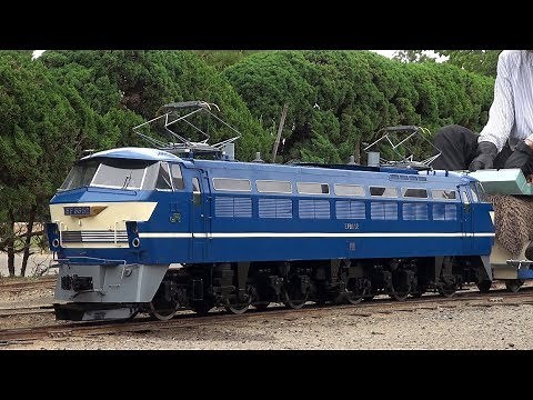 2018/05/13 [行徳駅前公園][ミニSL][5-inch gauge][127㎜] JNR class EF66 現る‼︎ 5インチゲージの世界‼︎