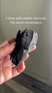 I Draw with Wildfire Charcoal #vanishingmurals #australianbushfires #art