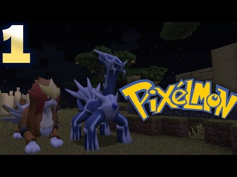 I have the best team in pixelmon...