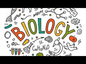 Grade 12 Biology unit 3 Genetics(molecular genetics) part 3 in Amharic