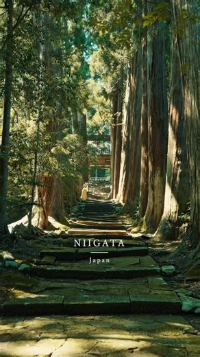 🇯🇵 The Most Beautiful Spots in Japan 🌸 From peaceful hot springs to snowy mountains — Japan’s beauty shines in every season. 🌿❄️ 📍Oita -大分- 📍Yamagata -山形- 📍Niigata -新潟- 📍Nagano -長野- 📸 https://www.instagram.com/japan_ichiban_tours/ ✉️ japanichibantours@gmail.com | info@japanichibantours.com 🌐 https://japanichibantours.com | Japan Ichiban Tours